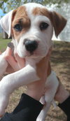 Lucky - Photo 1