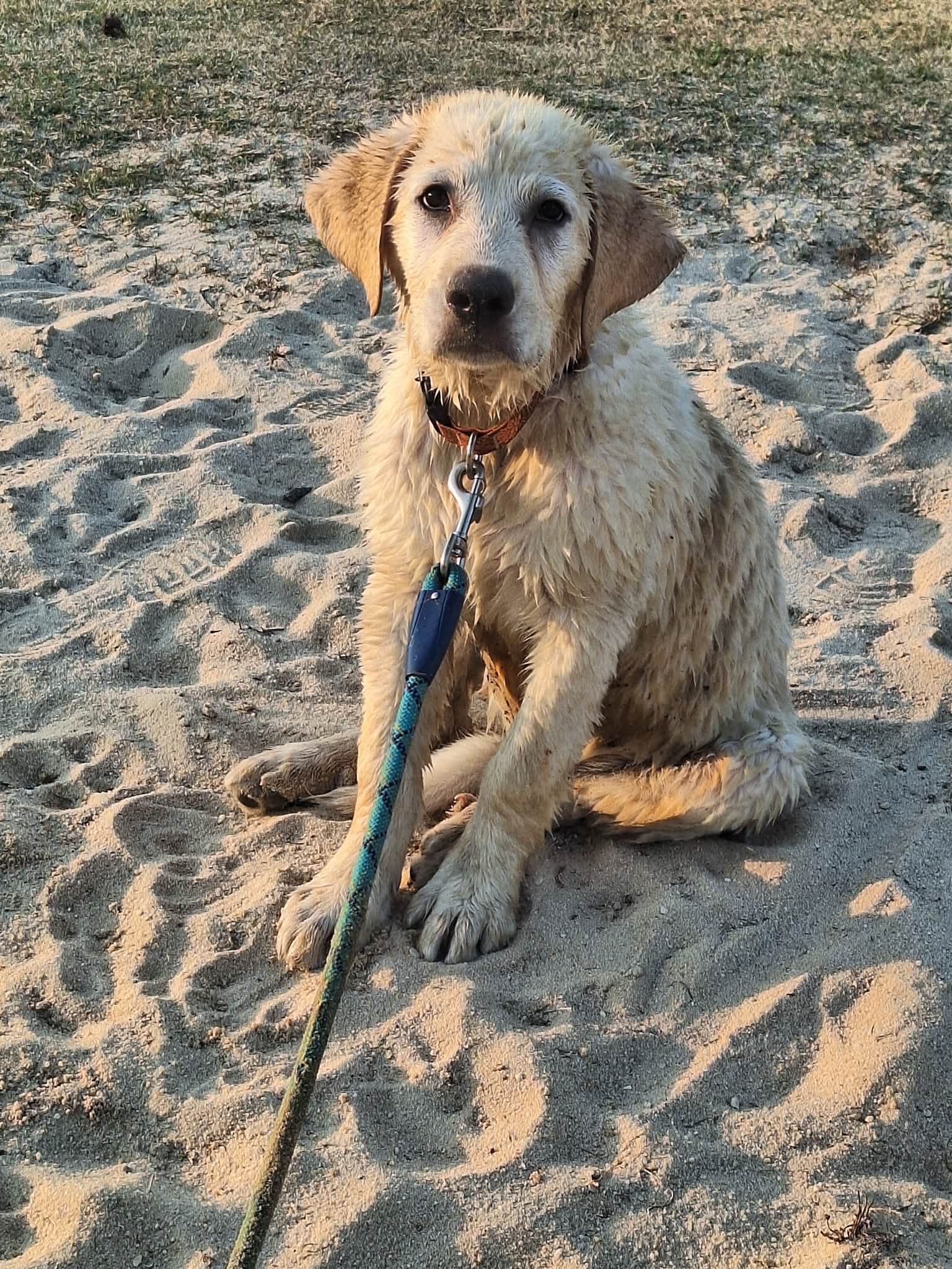 Winston Image