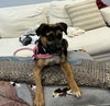 Hallie - Photo 3