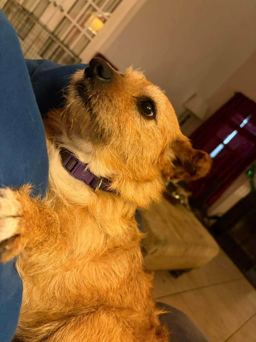 Lola