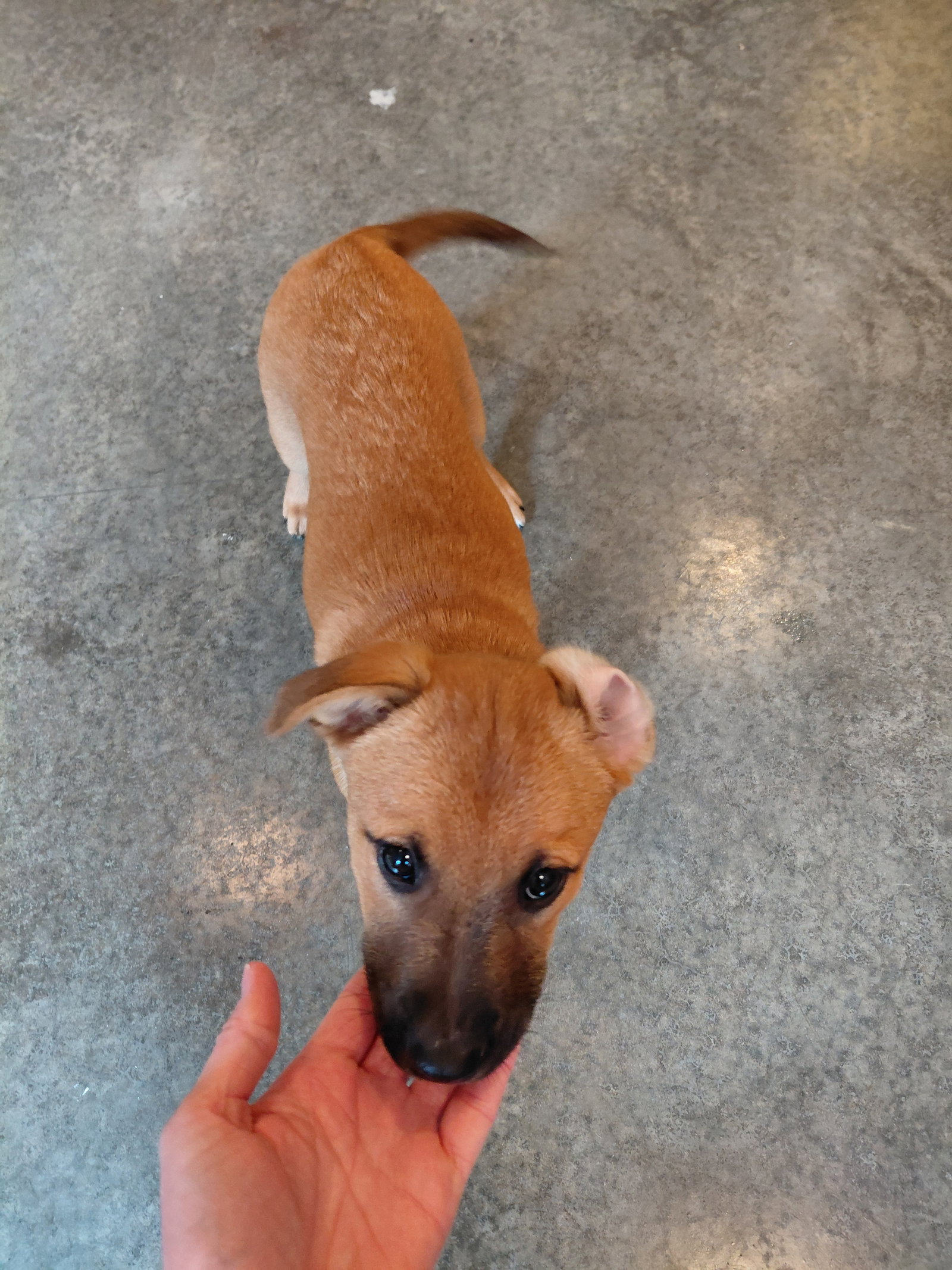 Penny - Big Bang Litter, photo 11