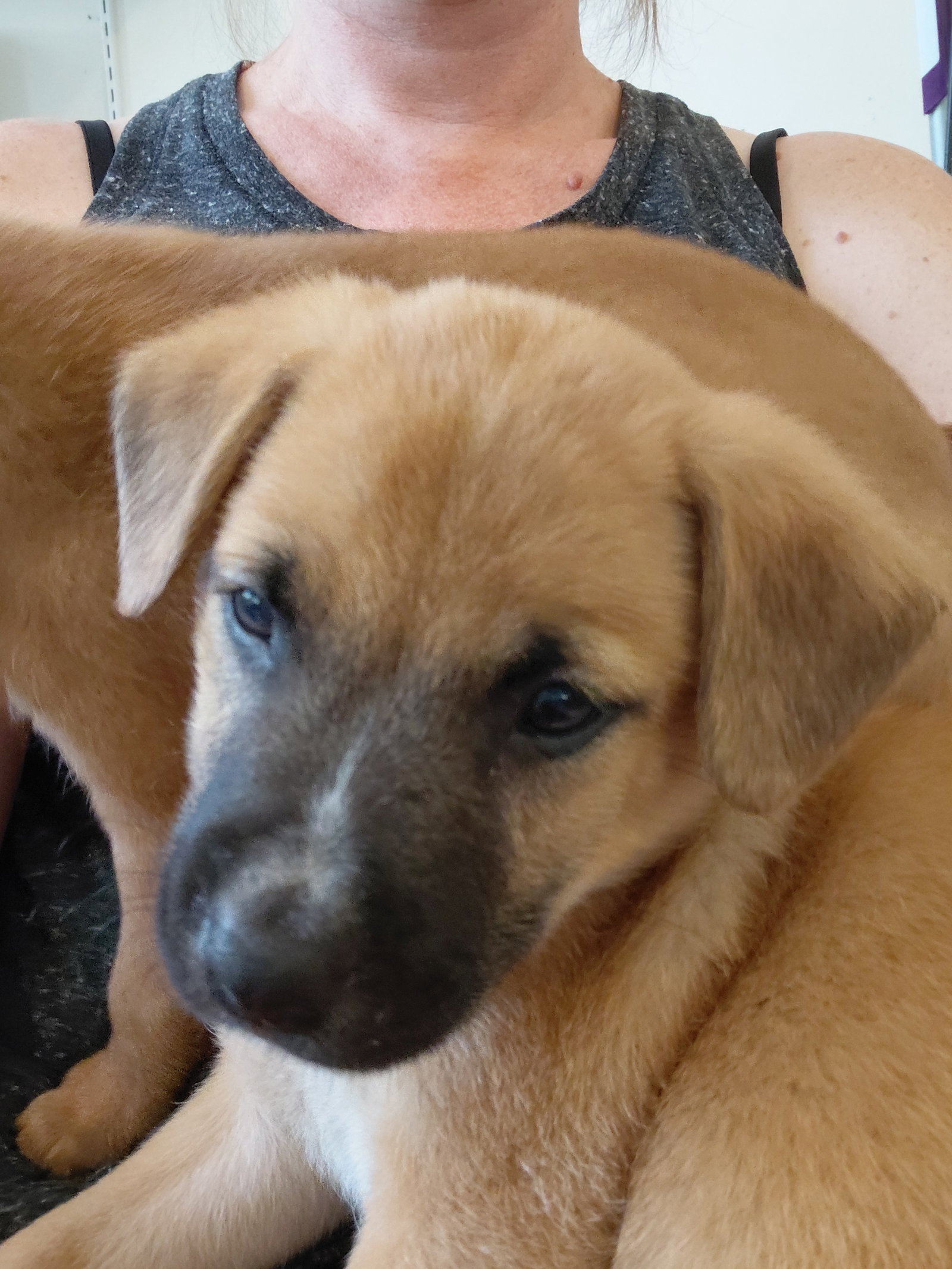 Leonard - Big Bang Litter, photo 7
