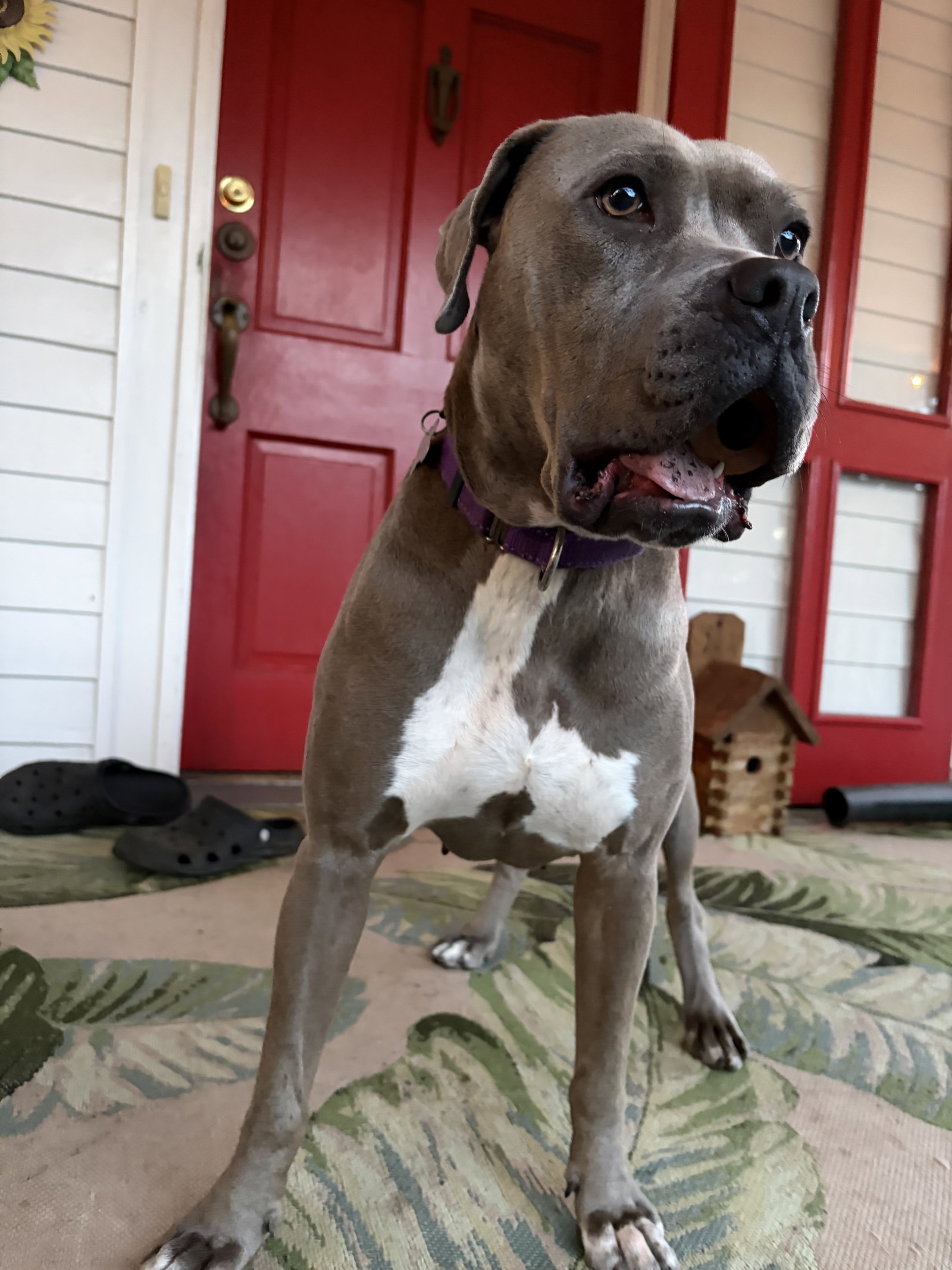 Lil Mama, photo 3