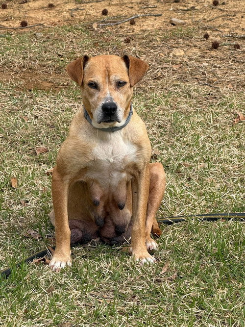 Momma, photo 17