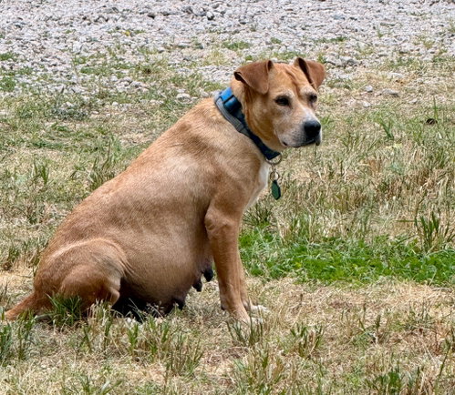 Momma, photo 16