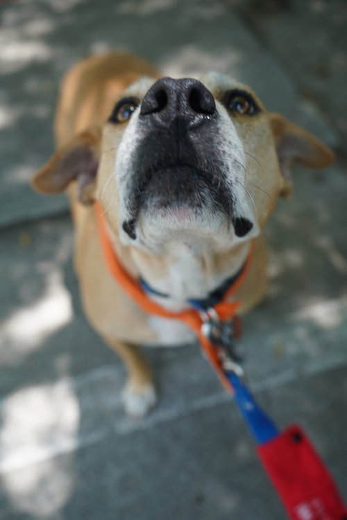 Momma, photo 10