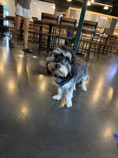 Photo of Cupcake