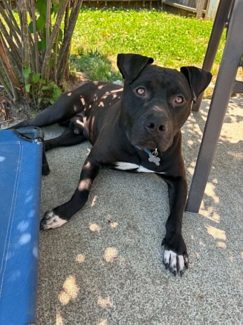 Photo 5 of Bubba