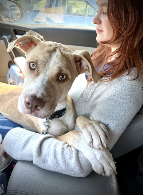 Nala photo 4