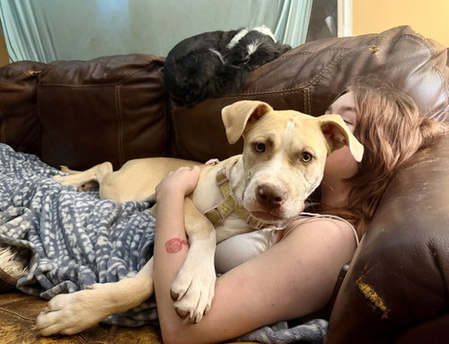 Nala photo 6