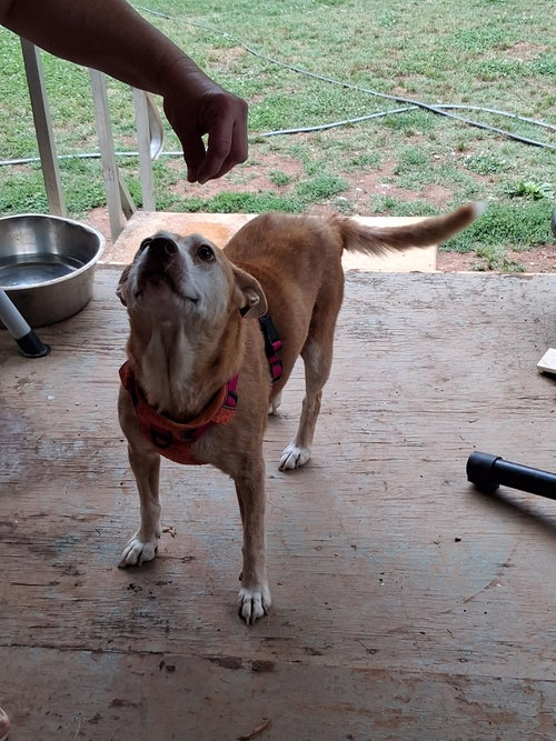 Lorelai Daisy, photo 6
