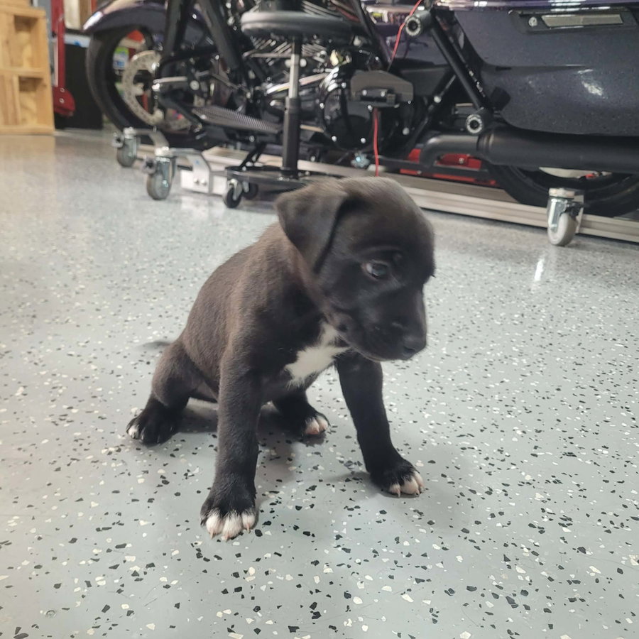 Tucker