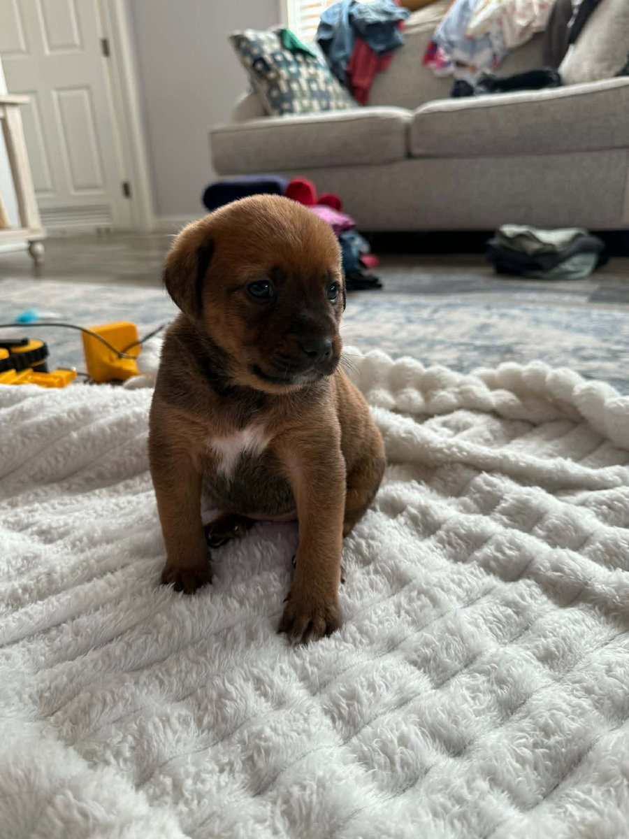 Sally