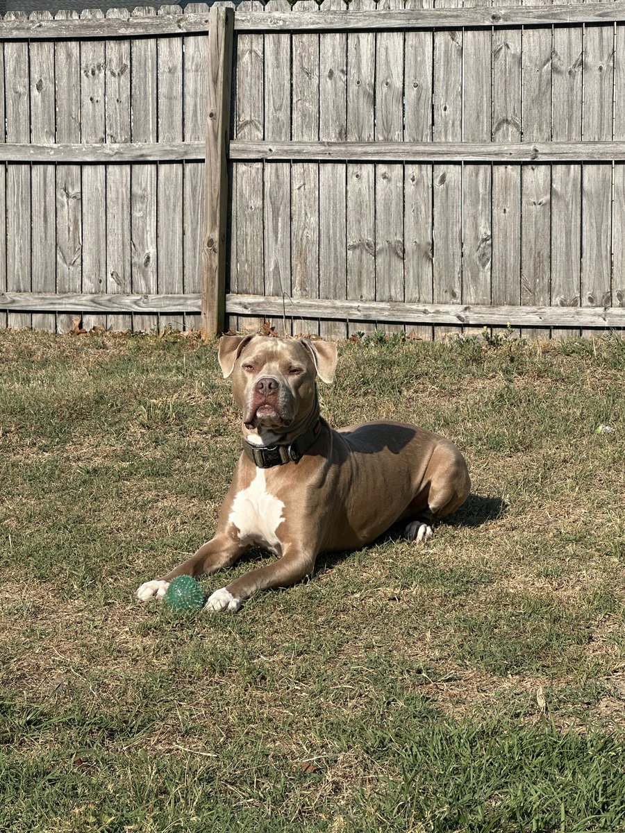 Leo (Courtesy)