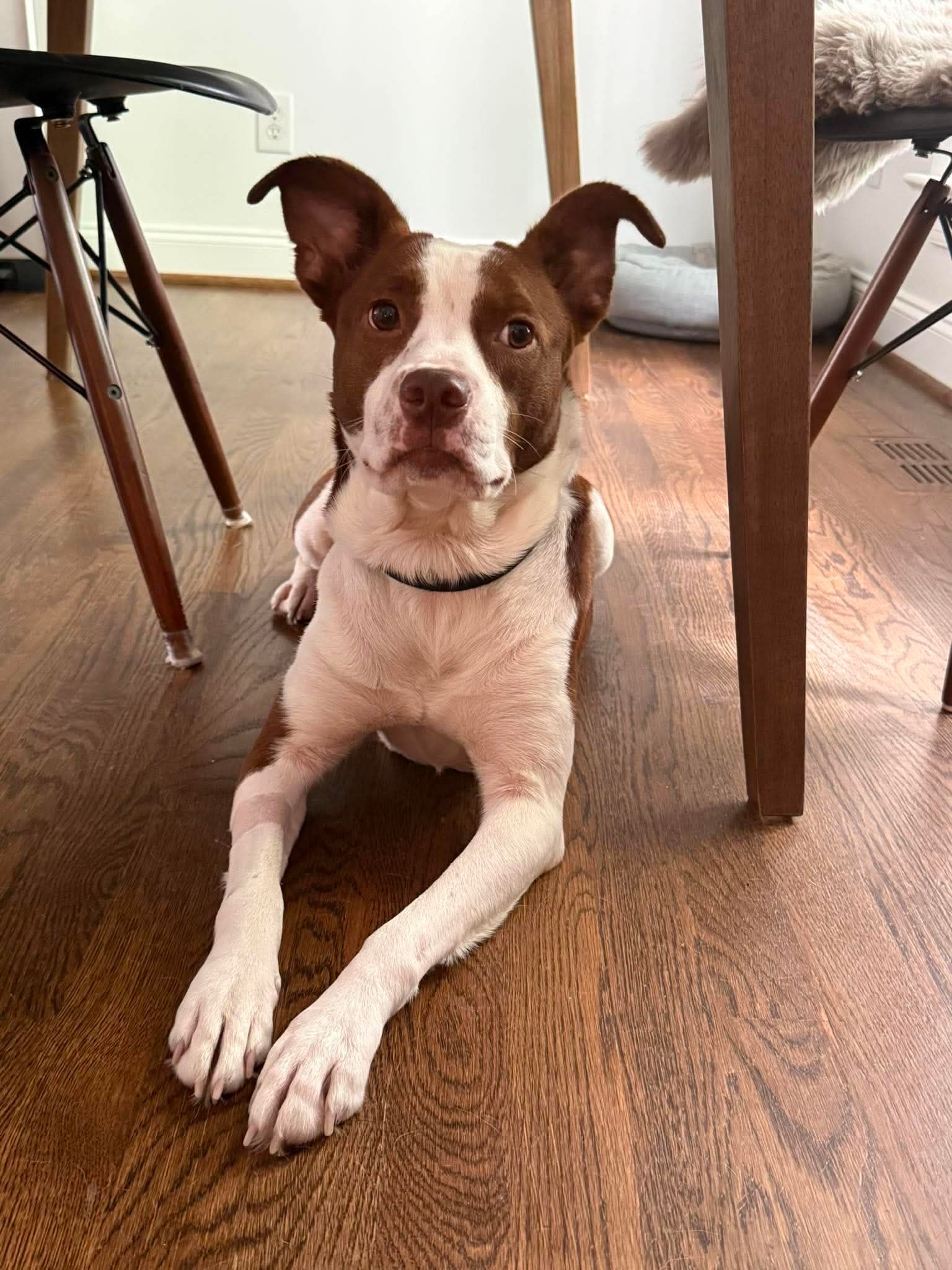 Penelope, photo 19
