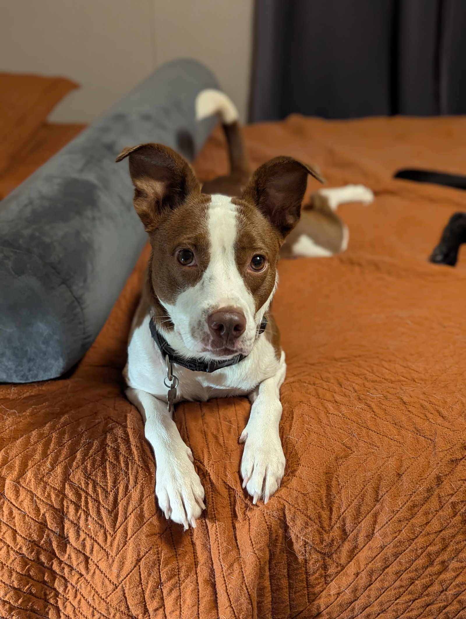 Penelope, photo 12