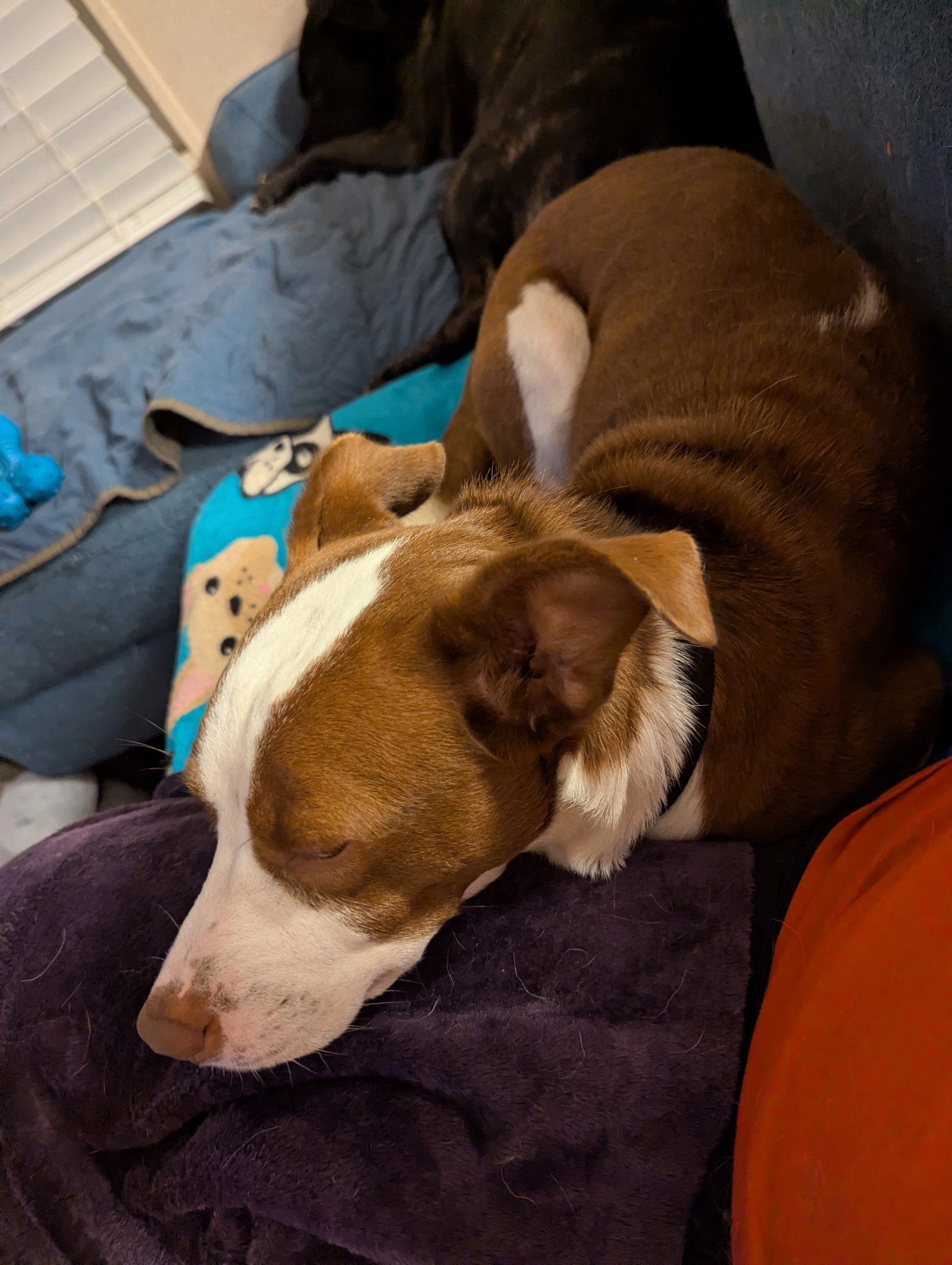 Penelope, photo 15