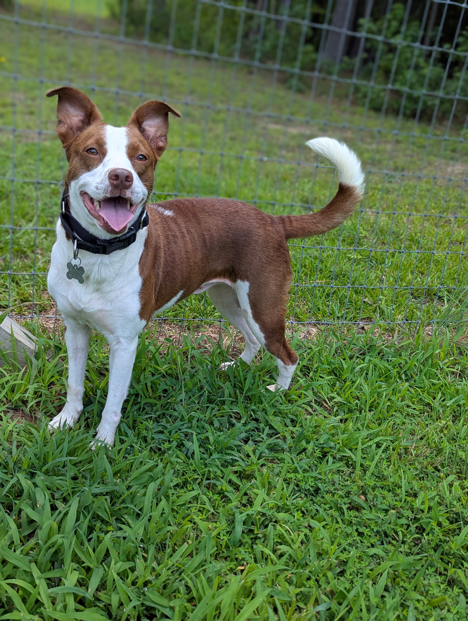 Penelope, photo 9