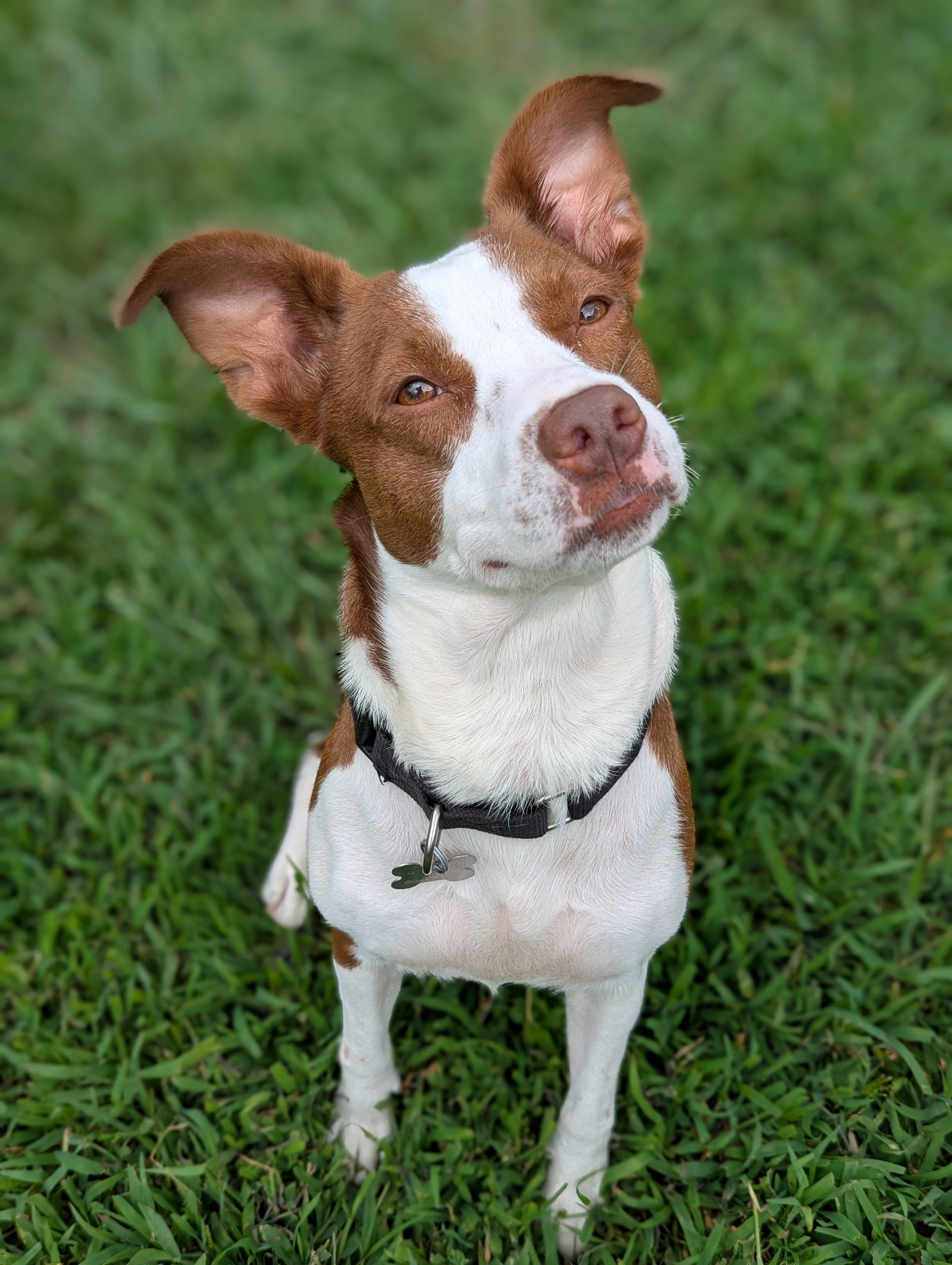 Penelope, photo 10