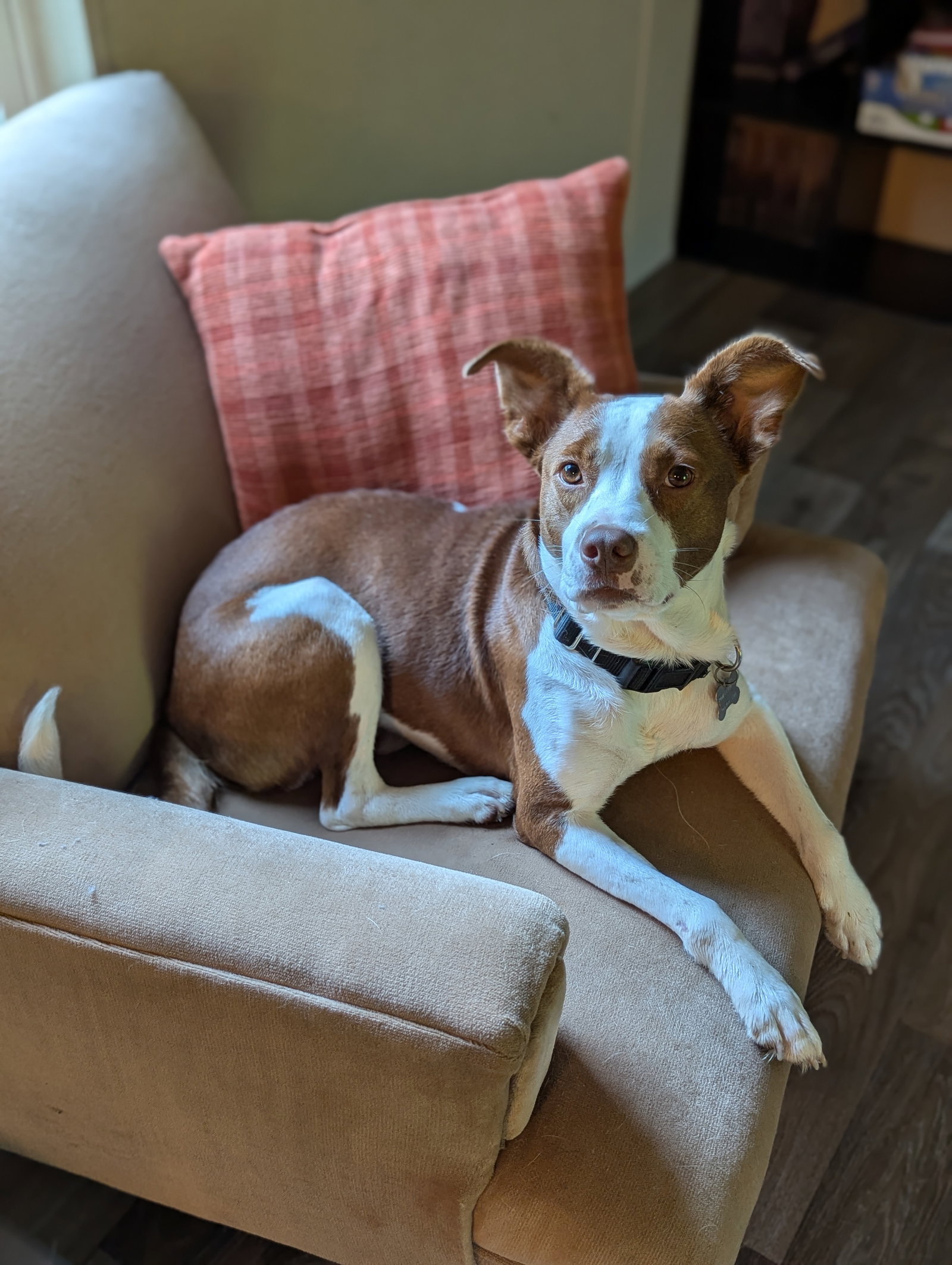 Penelope, photo 16