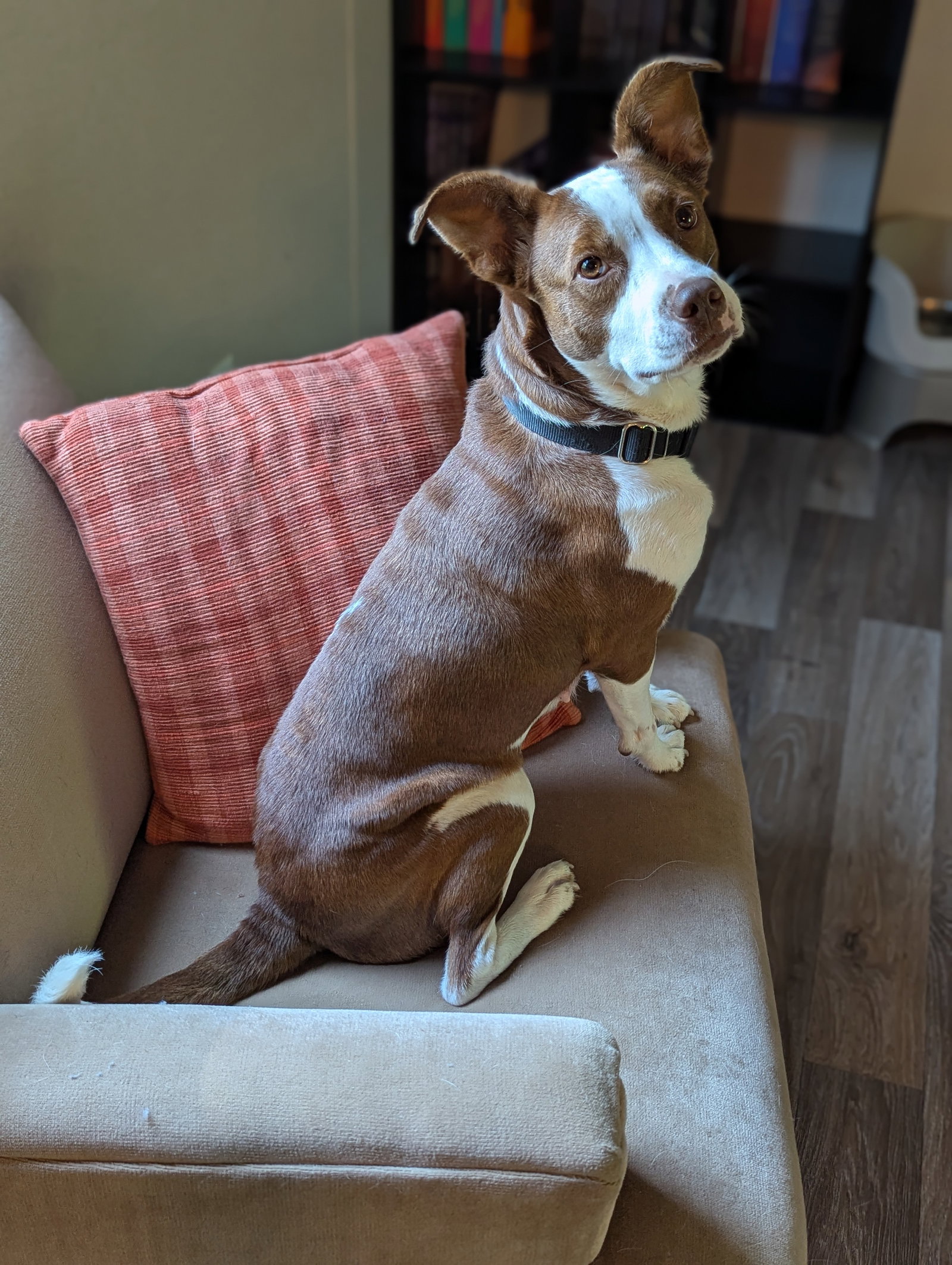 Penelope, photo 17