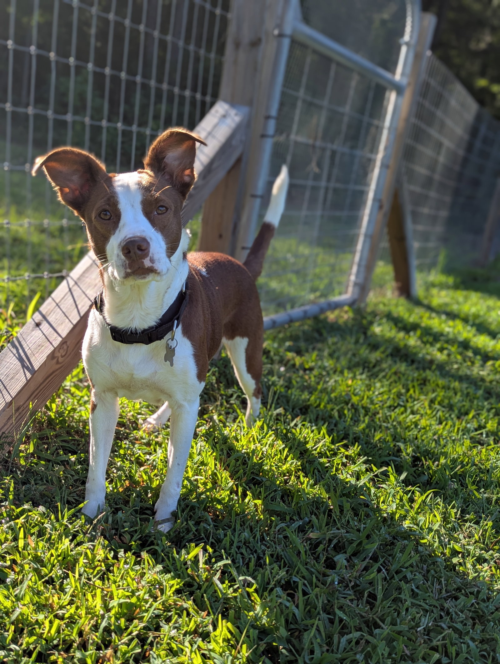 Penelope, photo 22