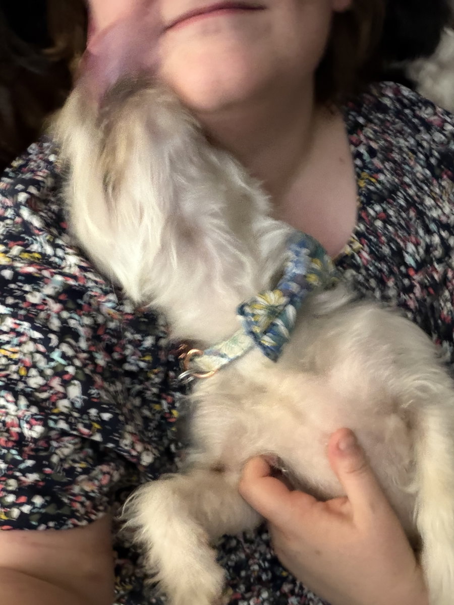 Little Luna