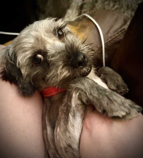 Osita photo 3