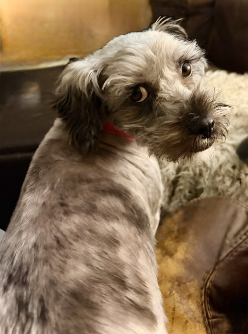 Osita photo 4