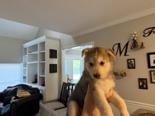 Kai photo 2