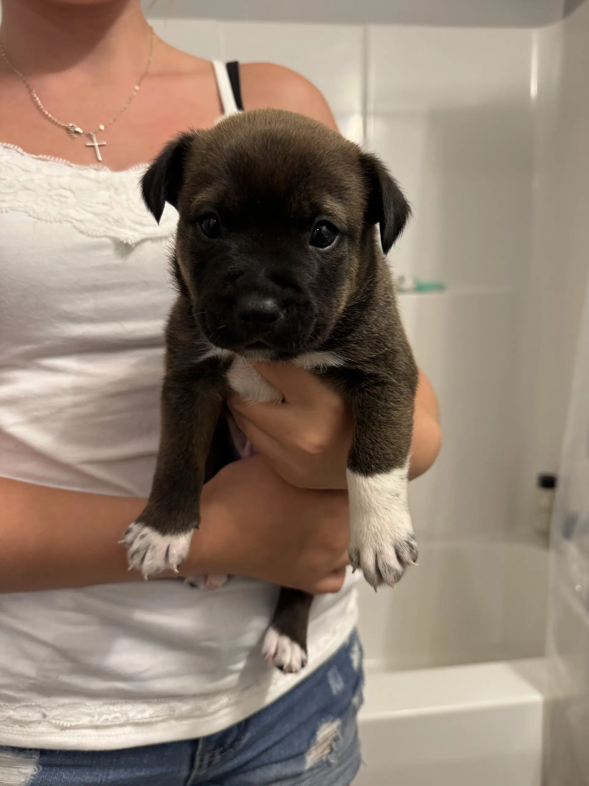 Snape Harry Potter Litter image 1