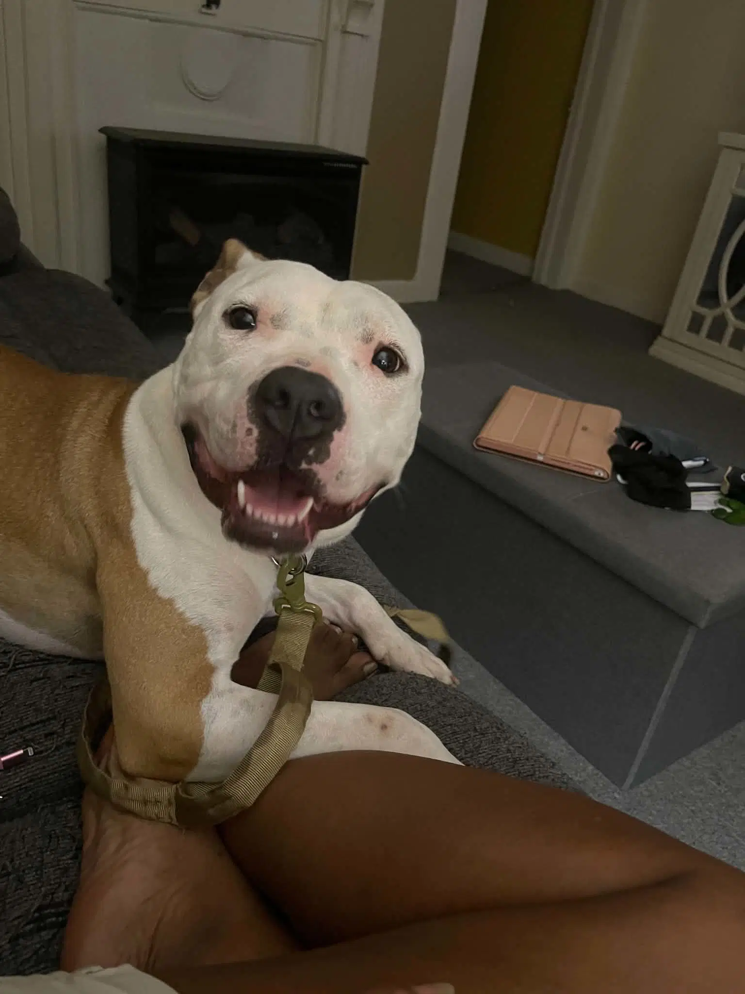 Kiya image 2