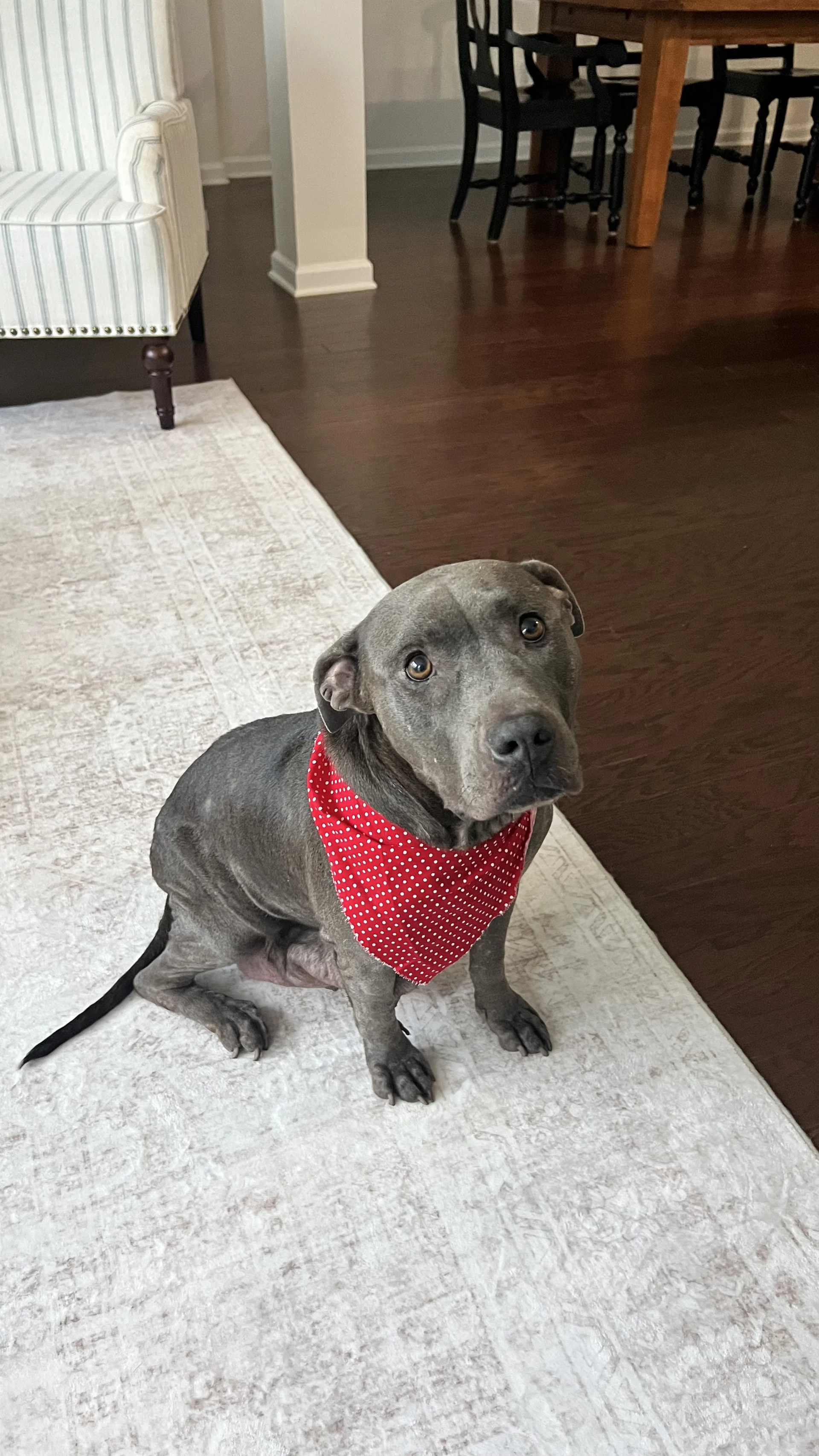 Cora