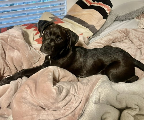 Photo of Nora