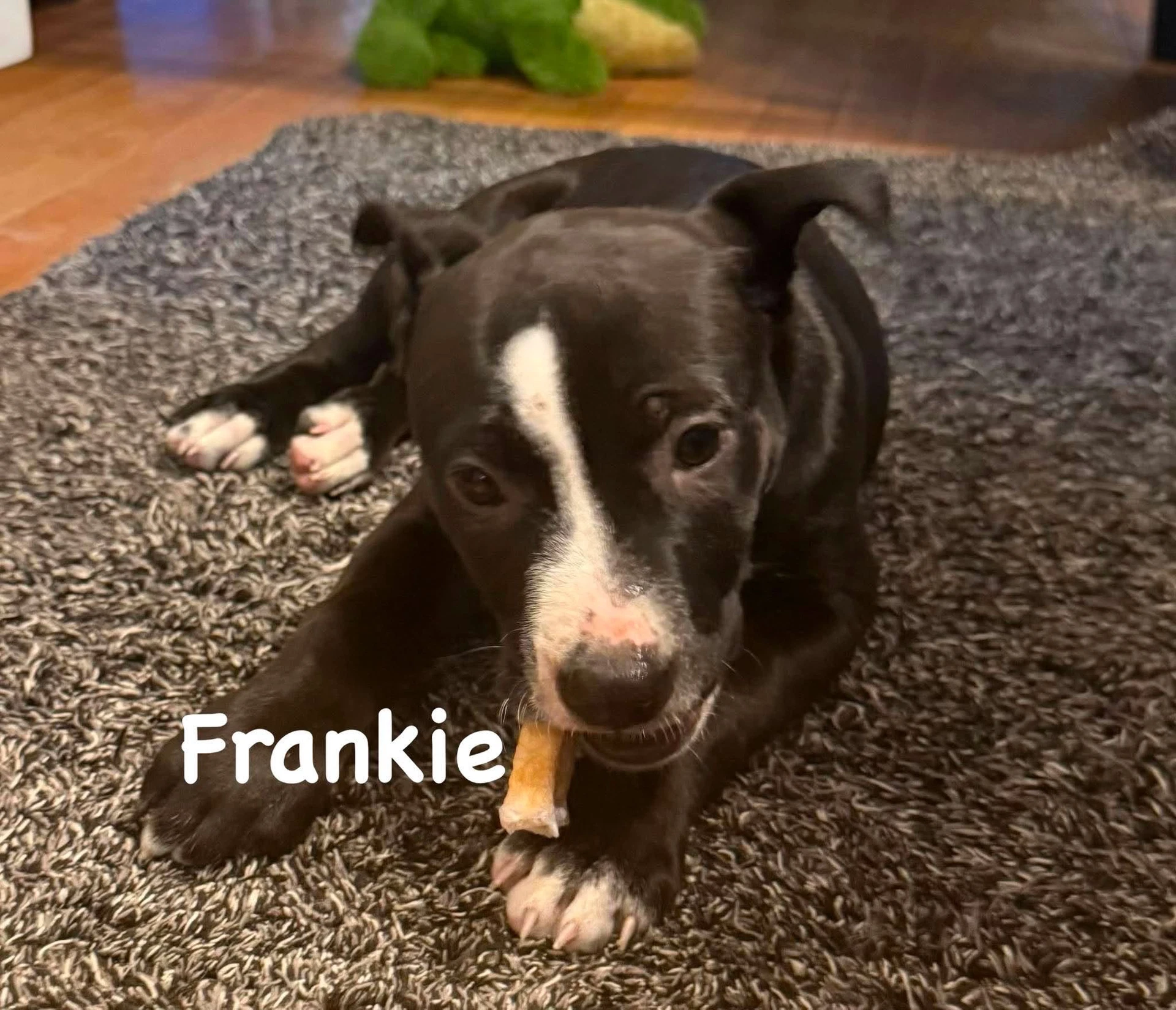 Frankie