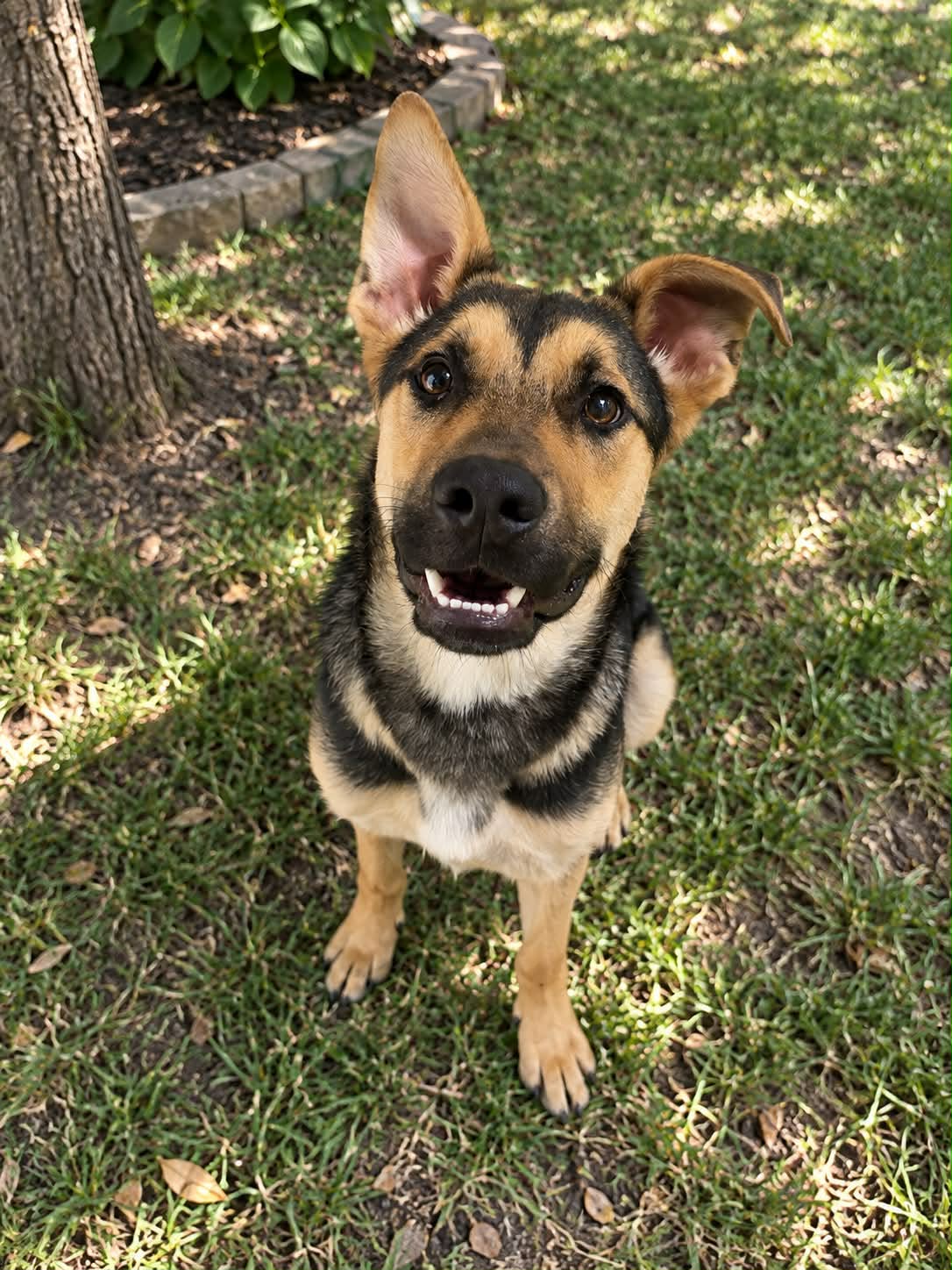 Benny