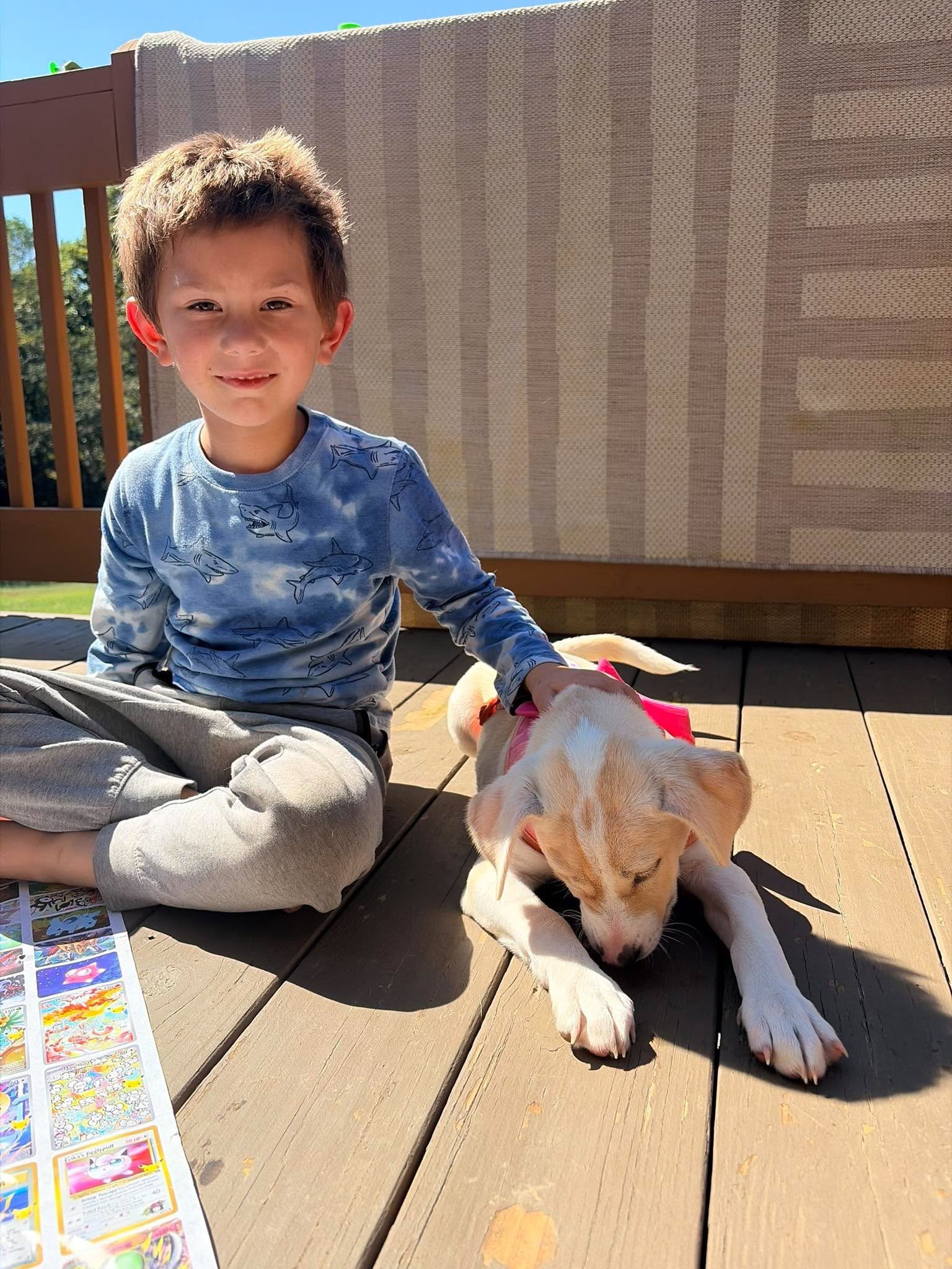 Josie (Mascot litter), photo 4