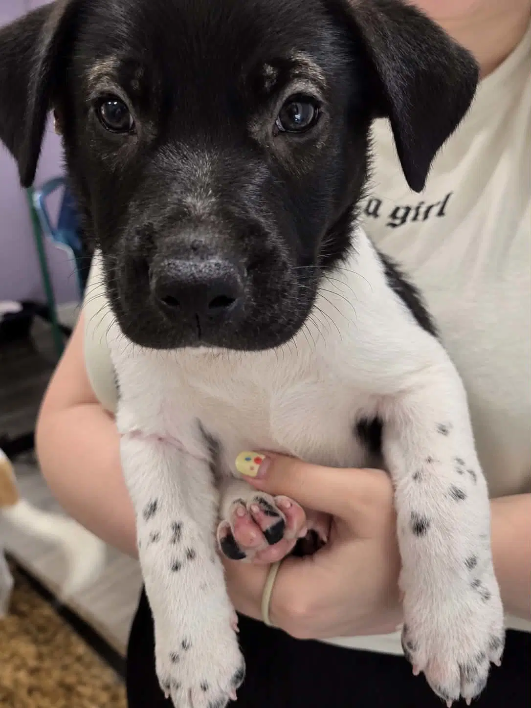 Doc Mascot Litter image 2