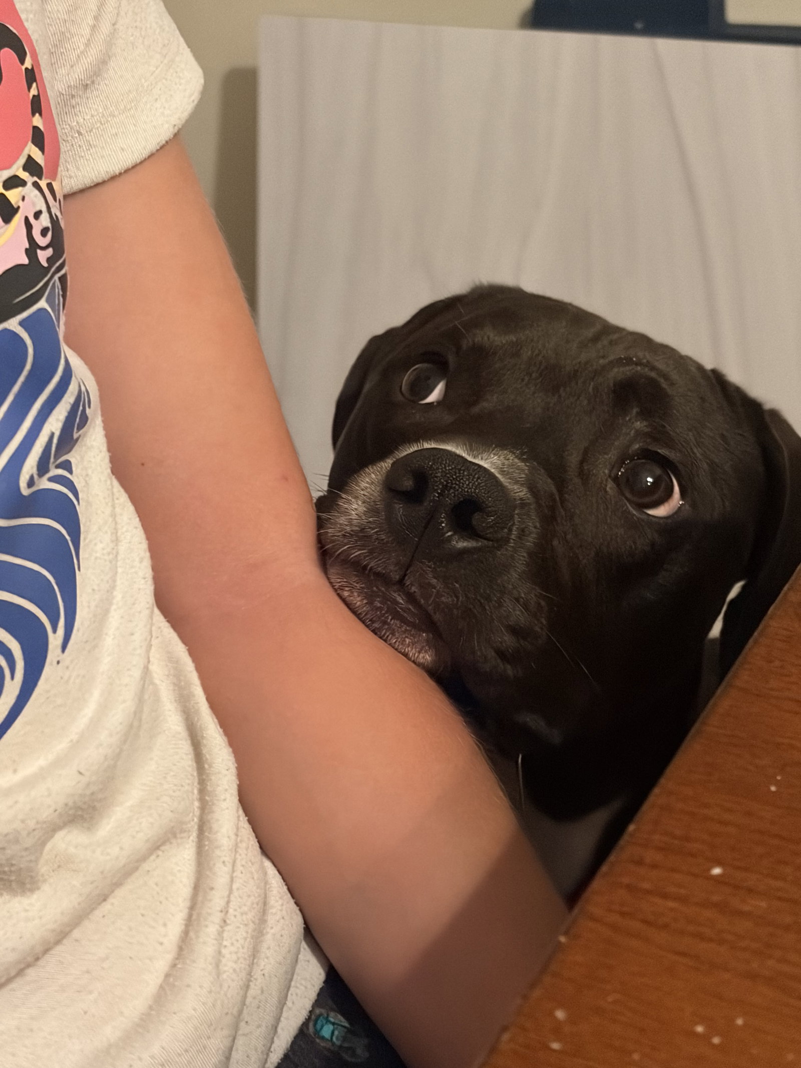 Zeus, photo 7