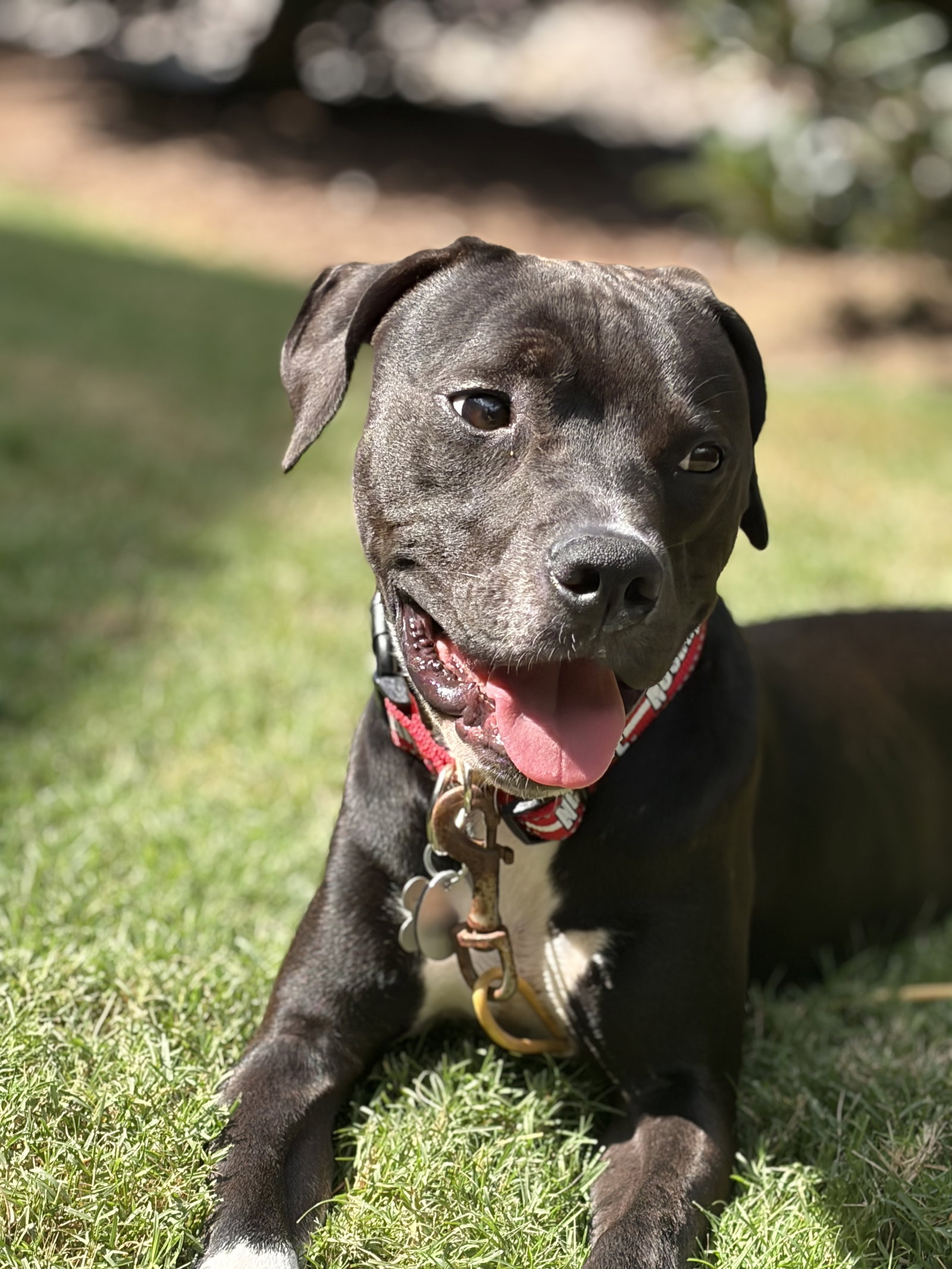Zeus, photo 8