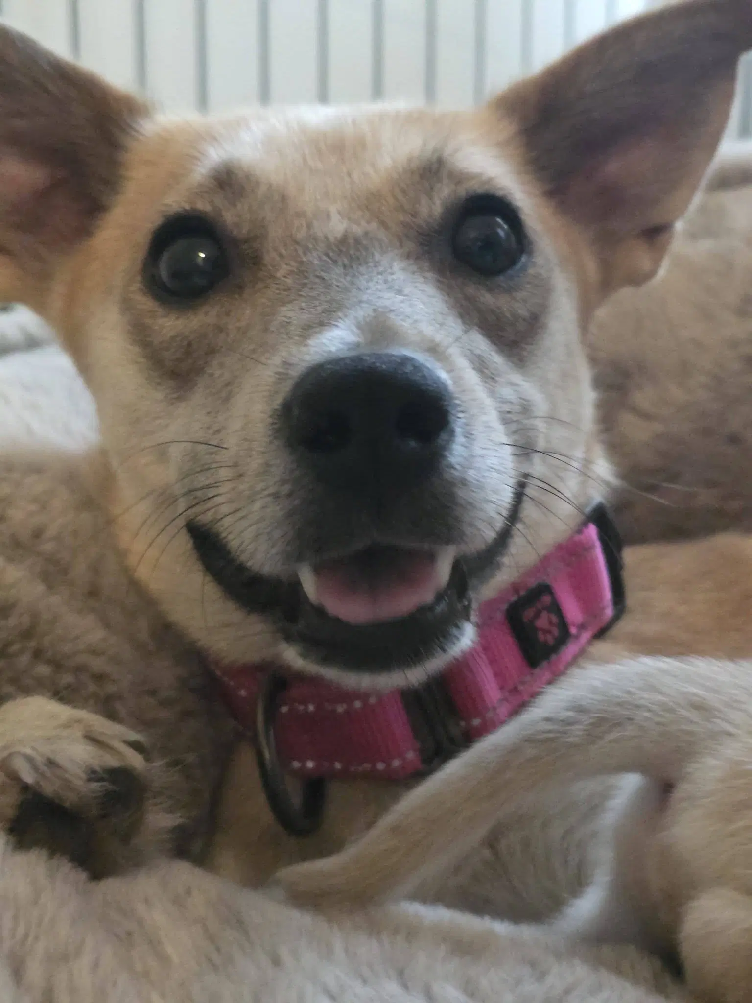 Willow Mae image 4