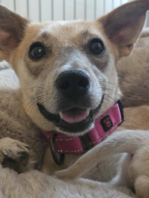 Photo 4 of Willow Mae