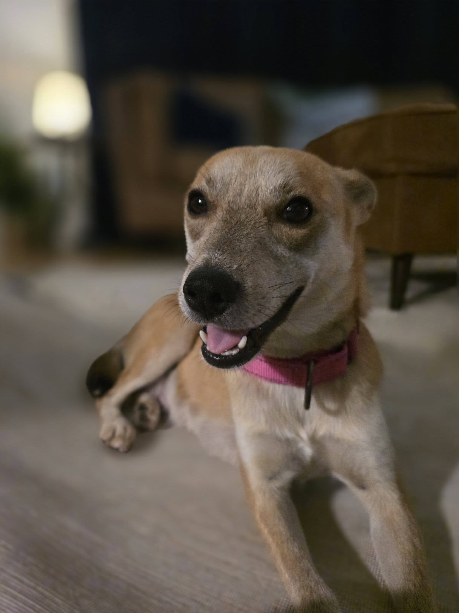 Willow Mae, photo 7
