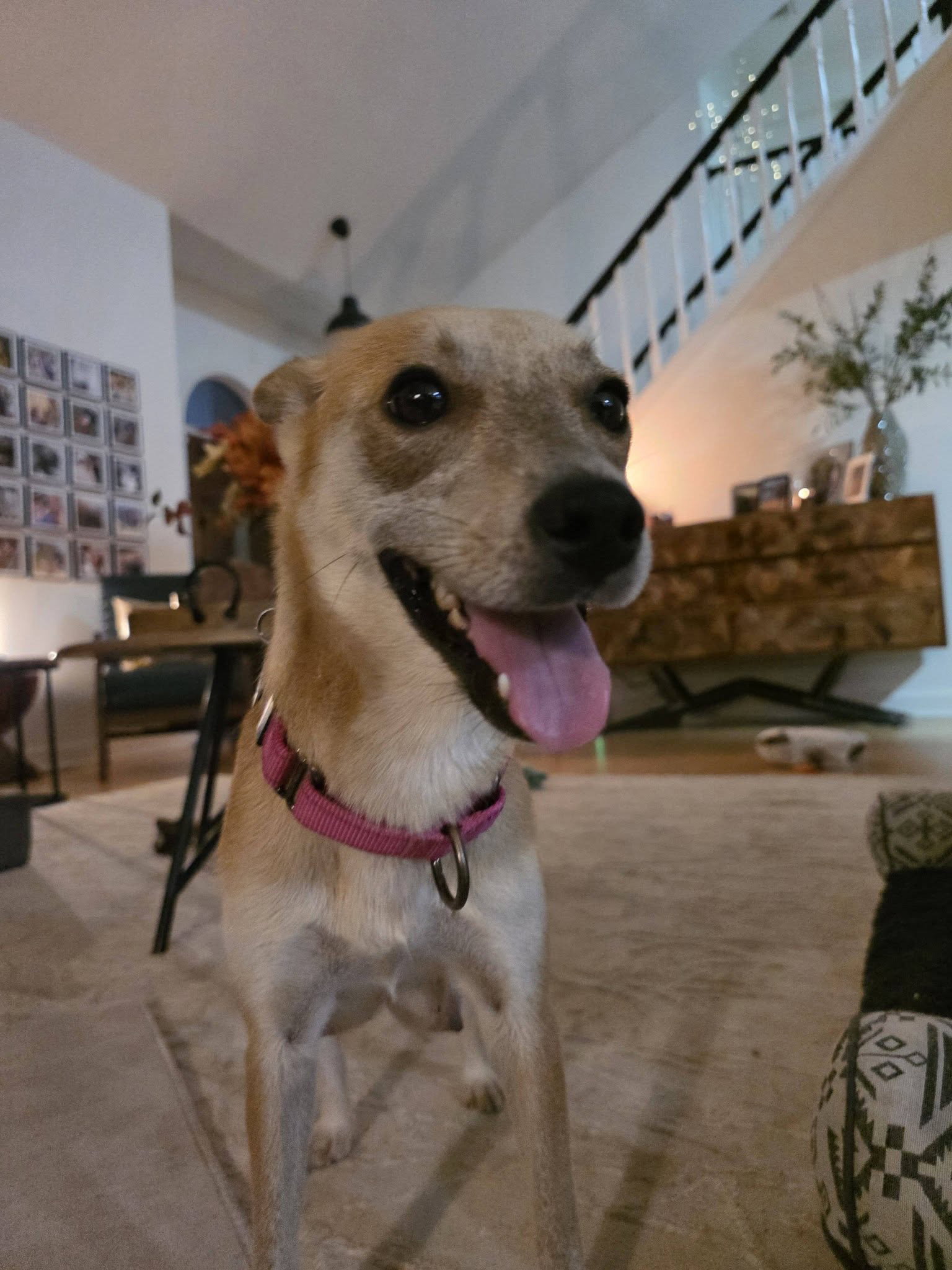 Willow Mae, photo 8