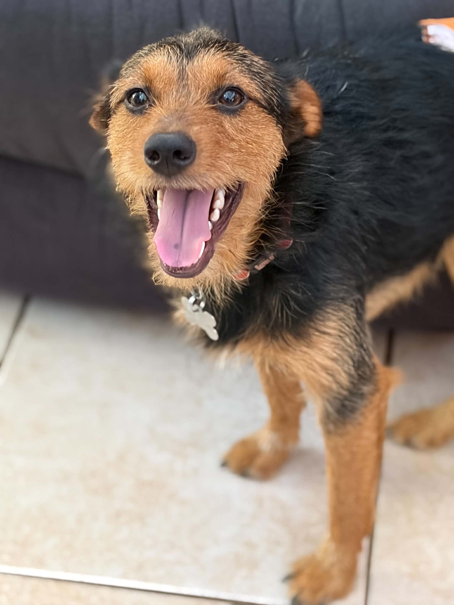 Teddy Scruff
