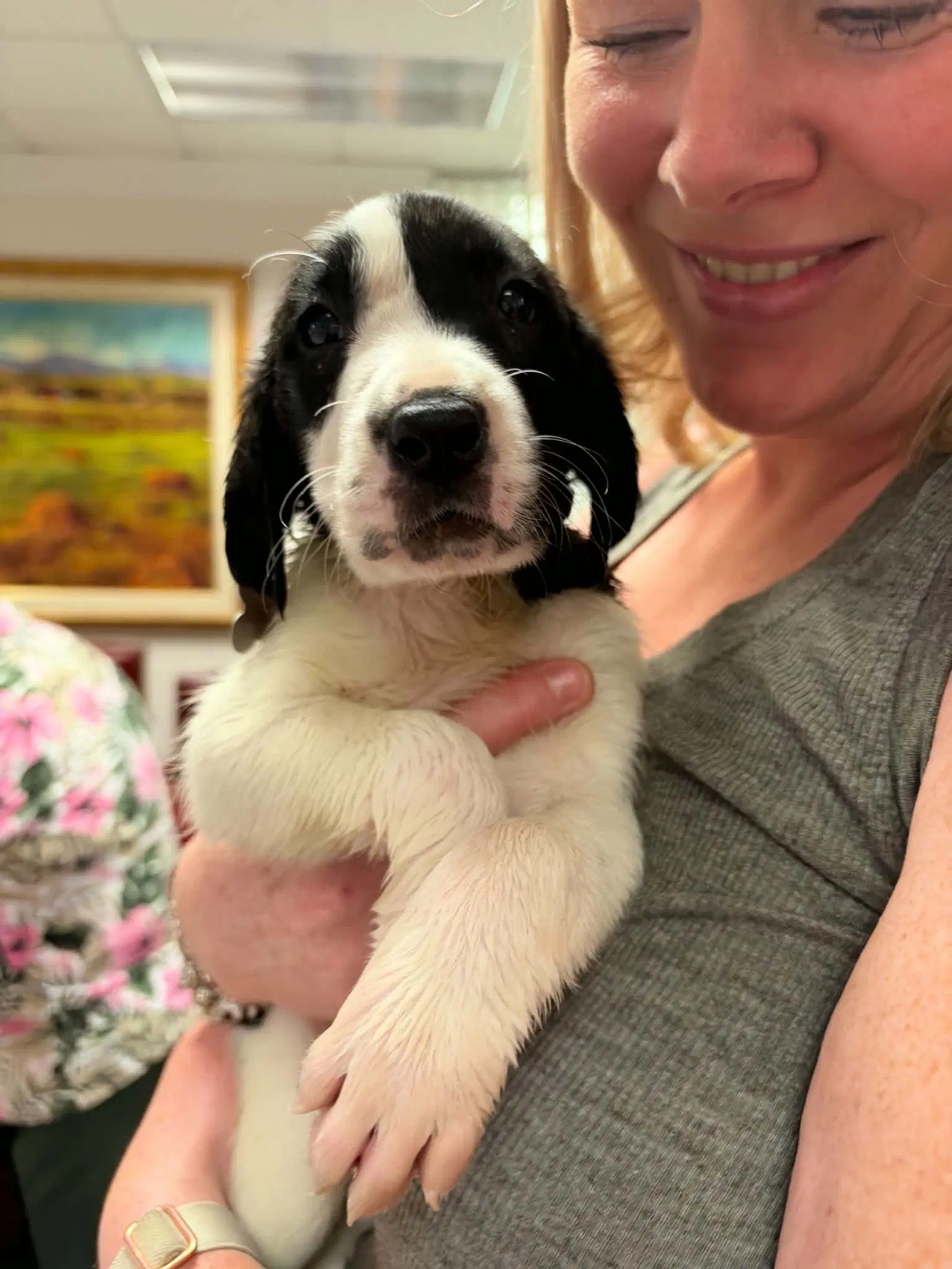 Burton - Halloween Litter - Anatolian Shepherd