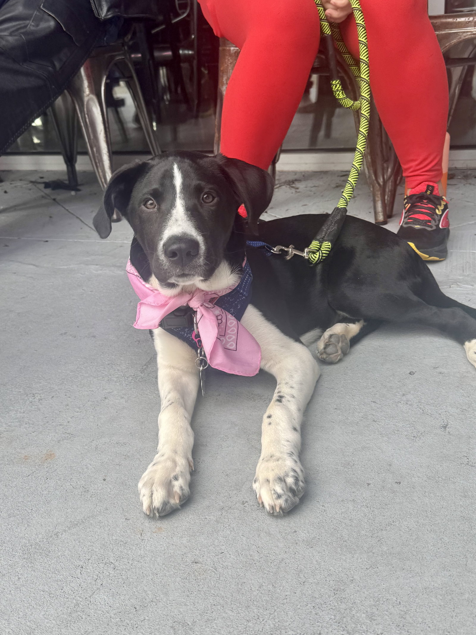 Roscoe
