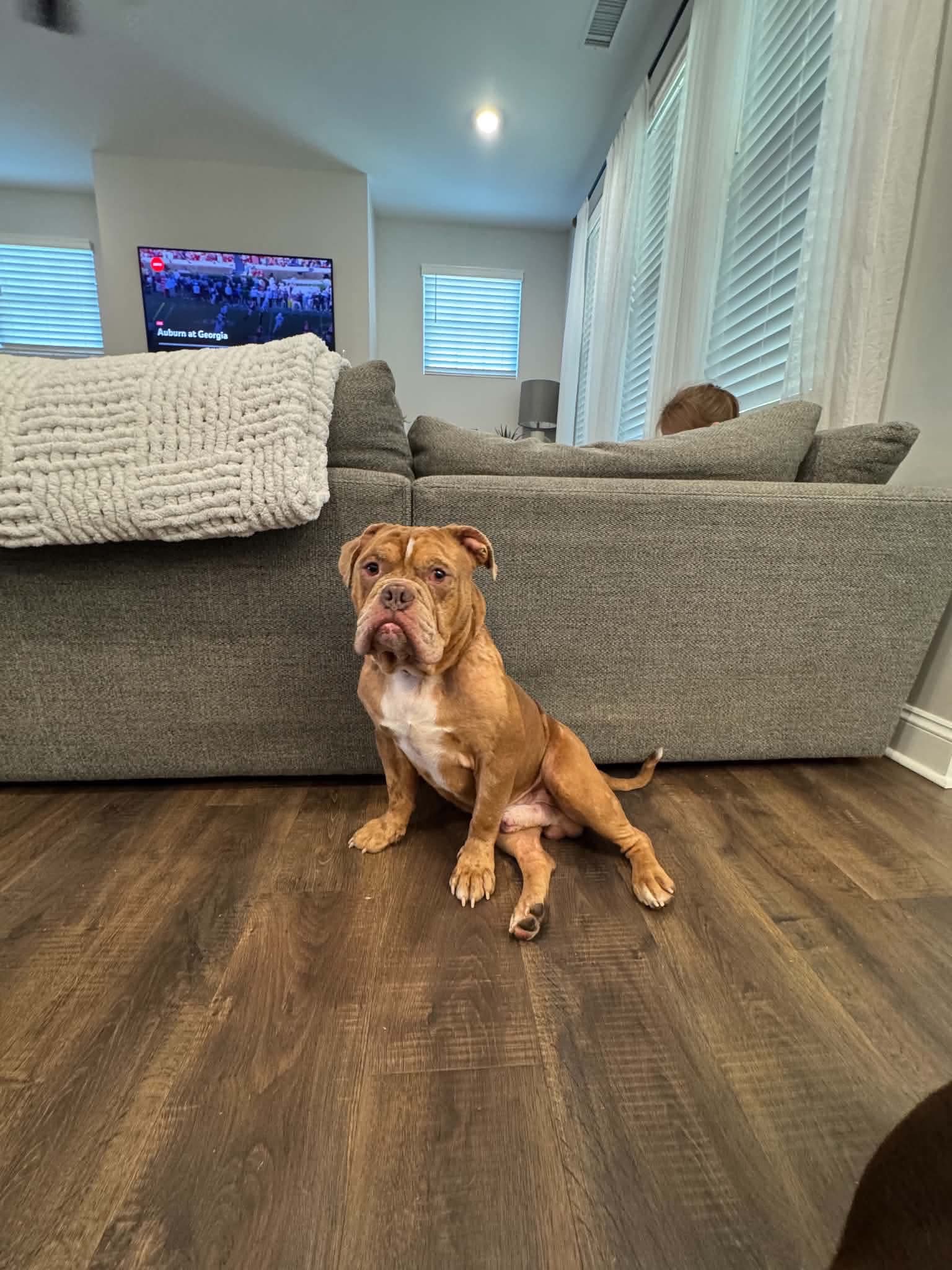 Bowser Previously Known As Gg