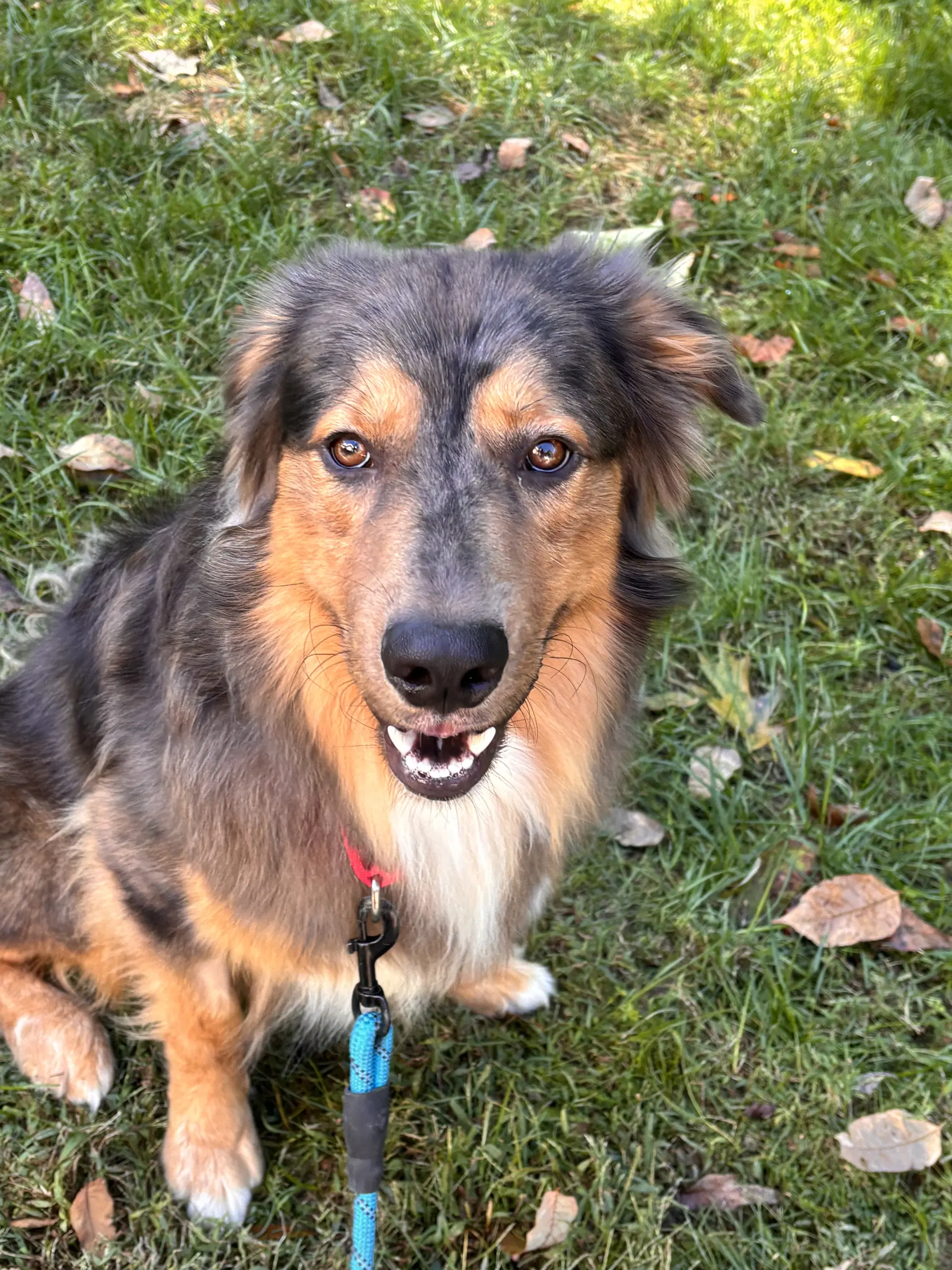Loki image 2