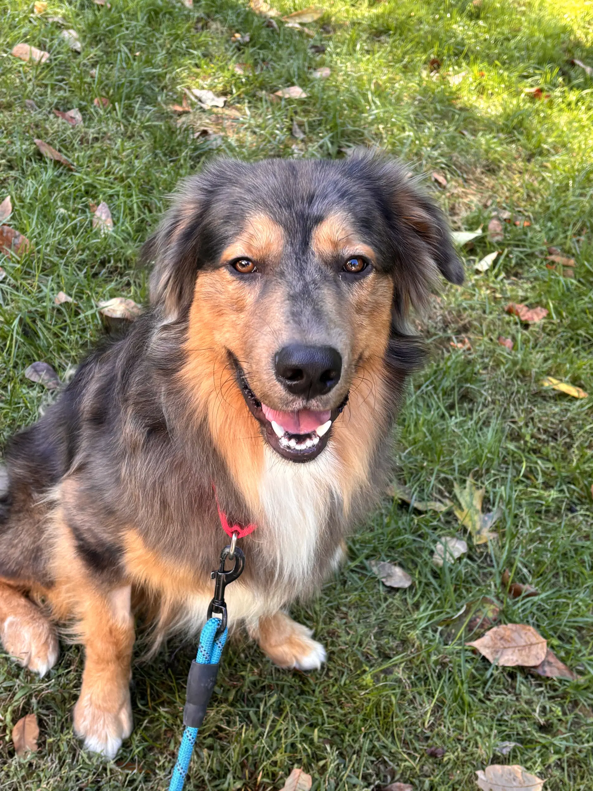 Loki image 3